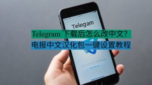 《Telegram 下载后怎么改中文？电报中文汉化包一键设置教程》